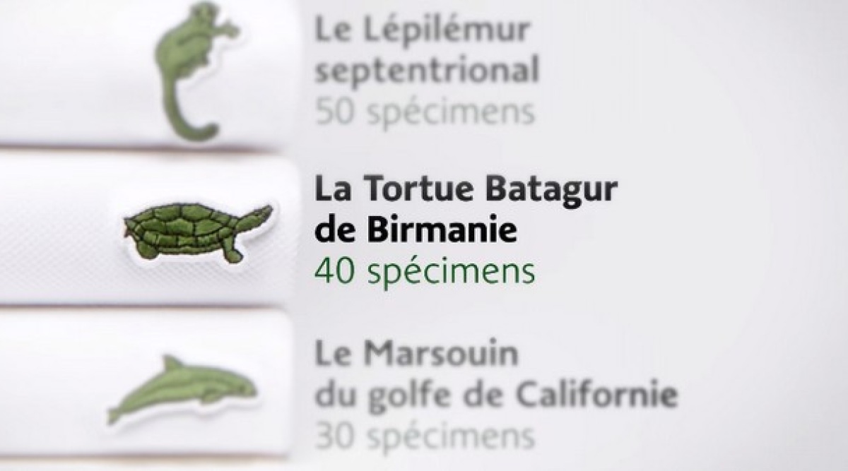 Le crocodile partage son territoire sur le polo Lacoste Image