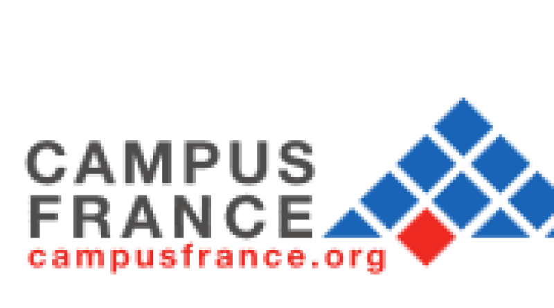Campus France met sa communication en compétition  Image  CB News