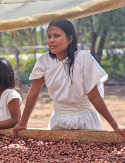 Cacao de Colombia 2