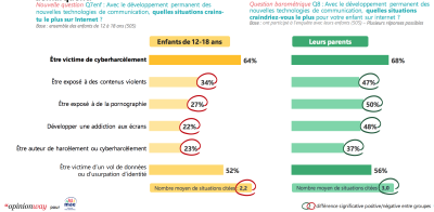 Graph Opinionway Cyberharcelement